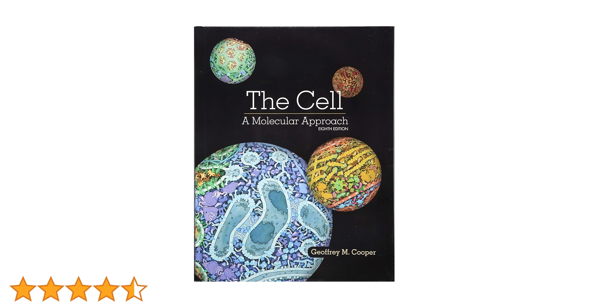 The Cell: A Molecular Approach : Cooper, Professor of Biology